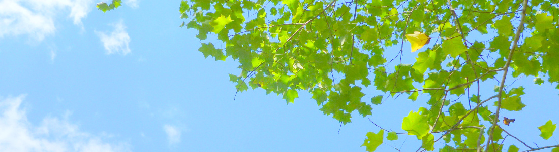 kz補償について