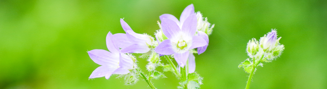 お問い合わせフォーム