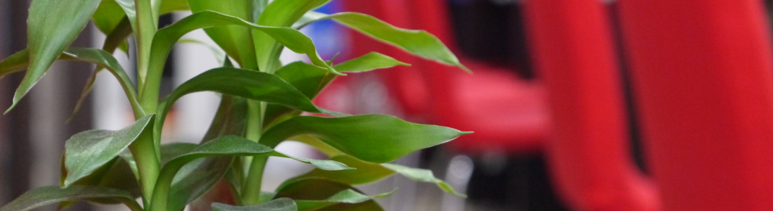 個人情報保護方針